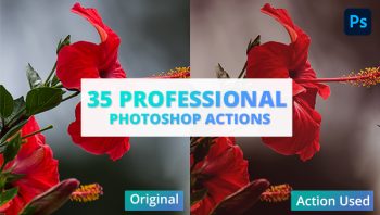 Professional Photoshop Actions