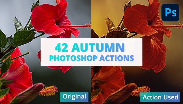 42 Autumn Photoshop Actions