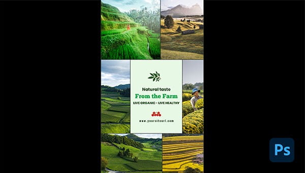 Nature Story