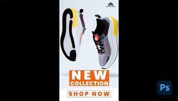 New Collection Story