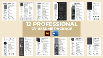 Professional Resume Package 2