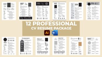 Professional Resume Package 3
